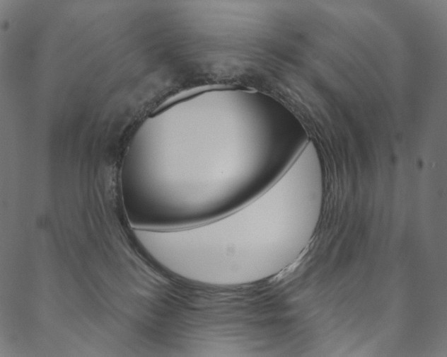 X0000088670184200705311008