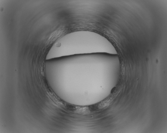 X0000088670185200705311008