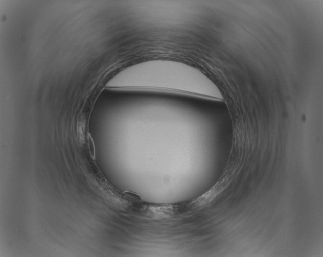 X0000088670188200705311008