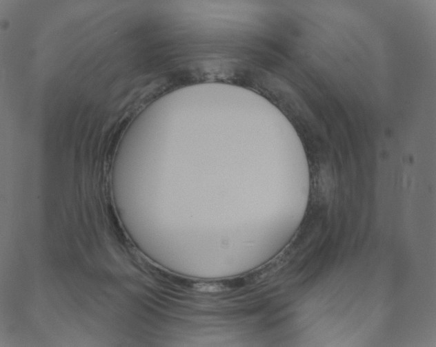 X0000088670218200705311007