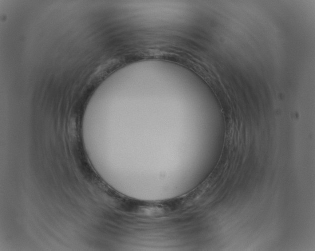 X0000088670220200705311007