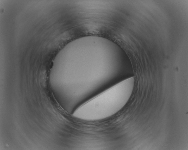 X0000088670223200705311007
