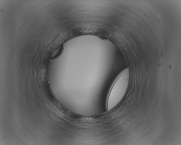 X0000088670227200705311007
