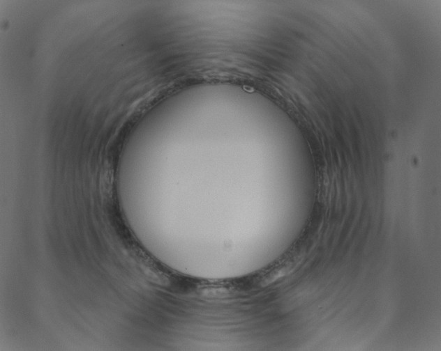X0000088670228200705311007