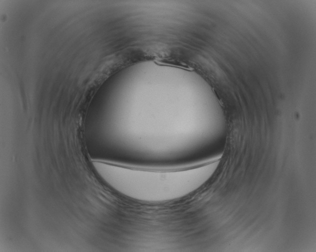 X0000088670229200705311007