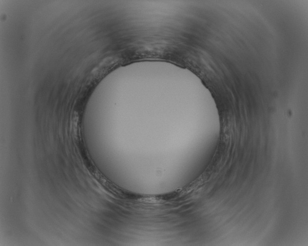 X0000088670231200705311007