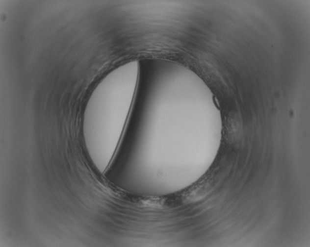 X0000088670232200705311006