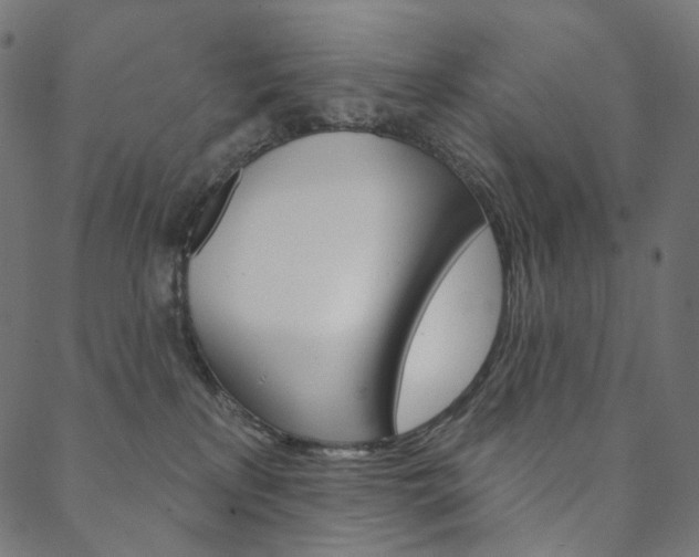X0000088670233200705311006