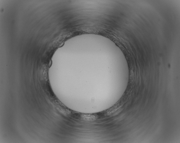 X0000088670234200705311006