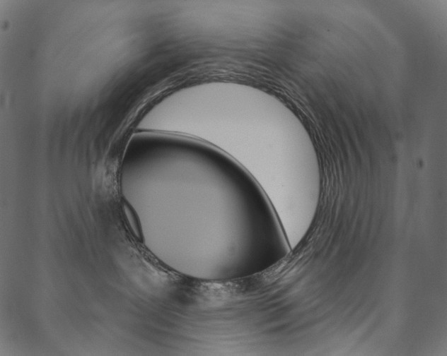 X0000088670239200705311006