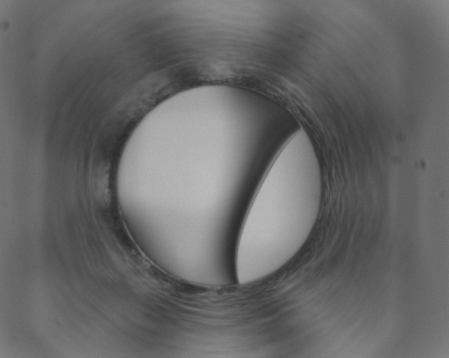 X0000088670267200705311006
