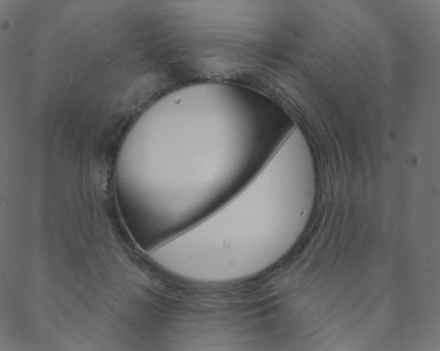 X0000088670268200705311006