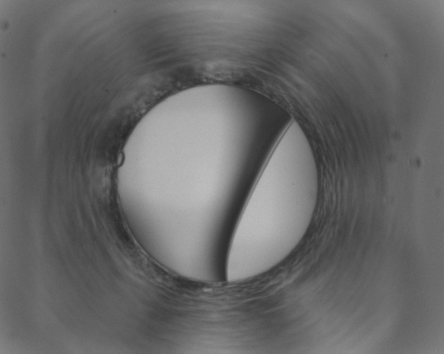 X0000088670271200705311006