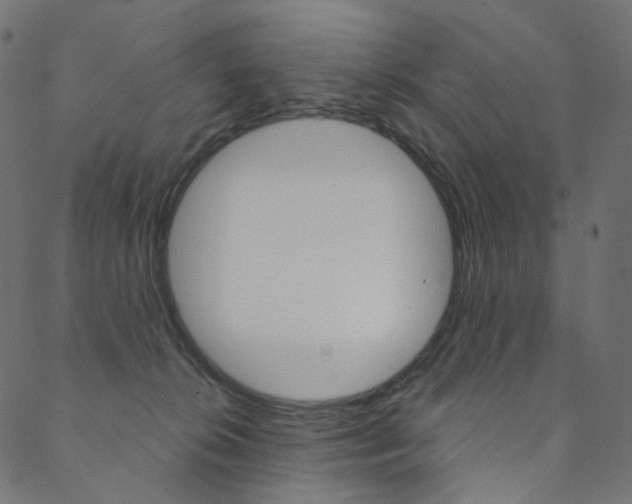X0000088670276200705311006