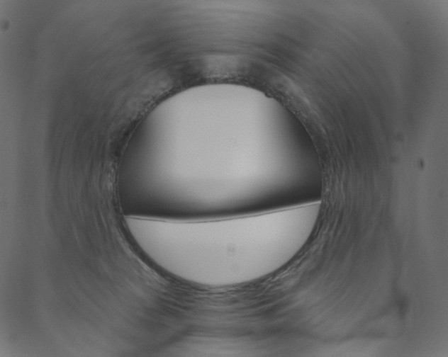 X0000088670277200705311006