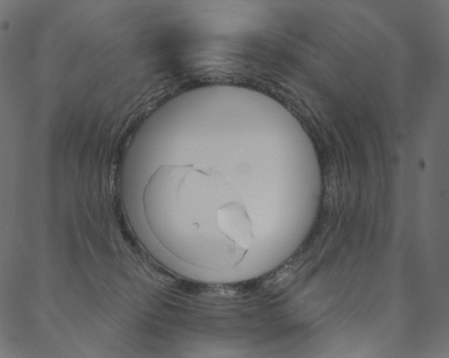 X0000088670278200705311006