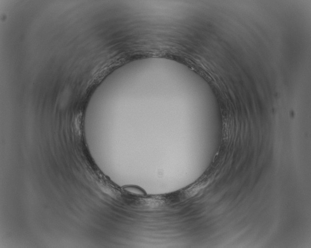 X0000088670286200705311006