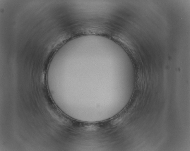 X0000088670310200705311005