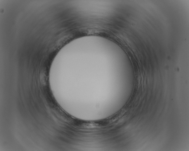 X0000088670316200705311005