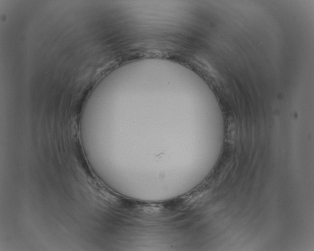 X0000088670318200705311005