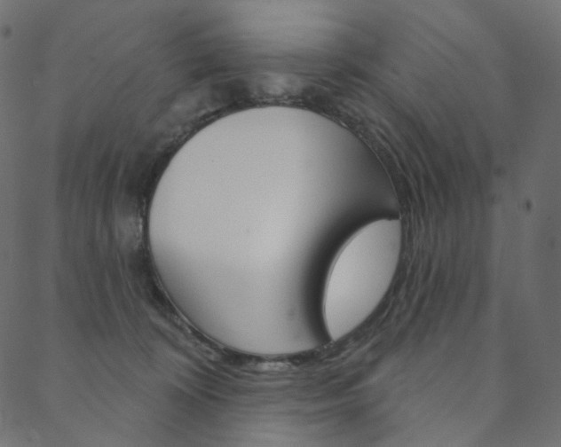 X0000088670324200705311005