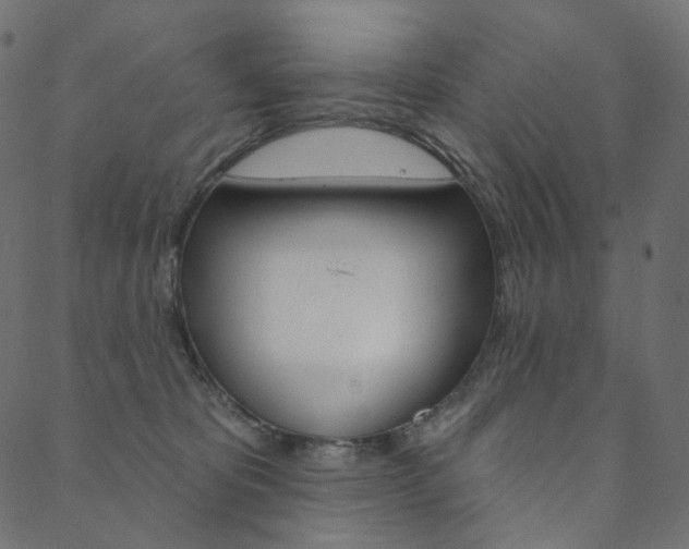 X0000088670325200705311005