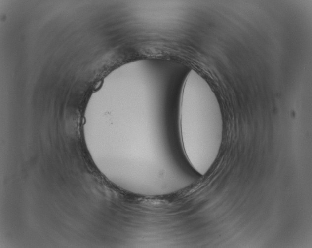 X0000088670332200705311005