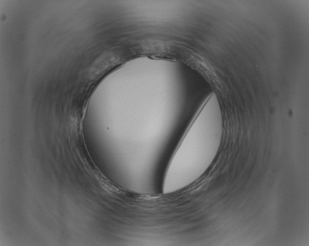 X0000088670333200705311005