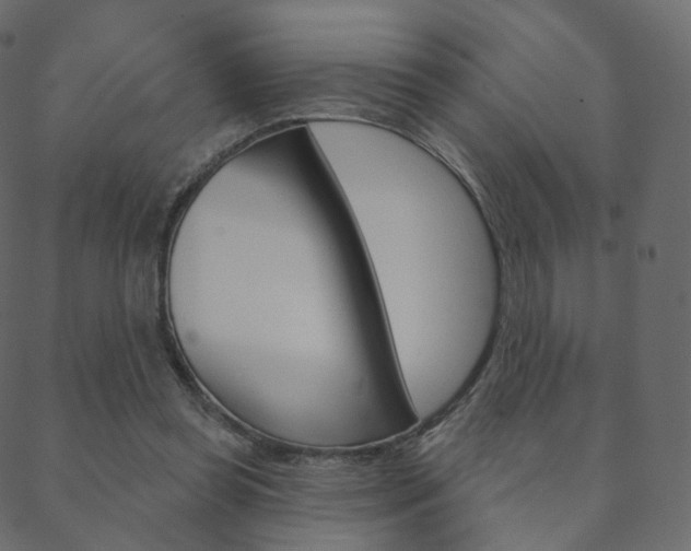 X0000088670349200705311004