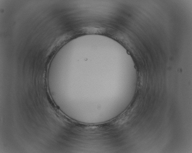 X0000088670357200705311004