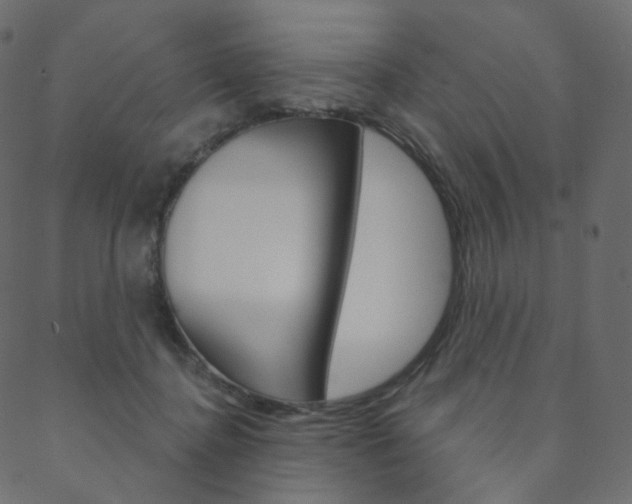 X0000088670364200705311004
