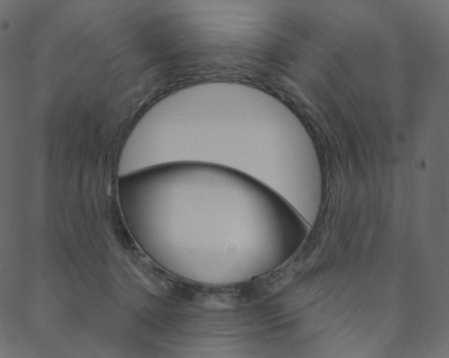 X0000088670368200705311005