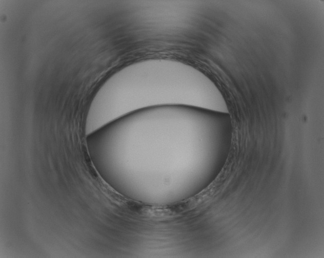 X0000088670372200705311005