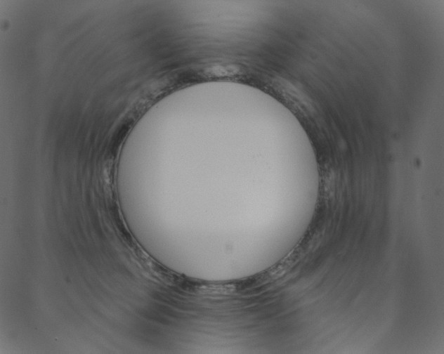 X0000088670373200705311005