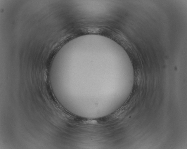 X0000088670374200705311005