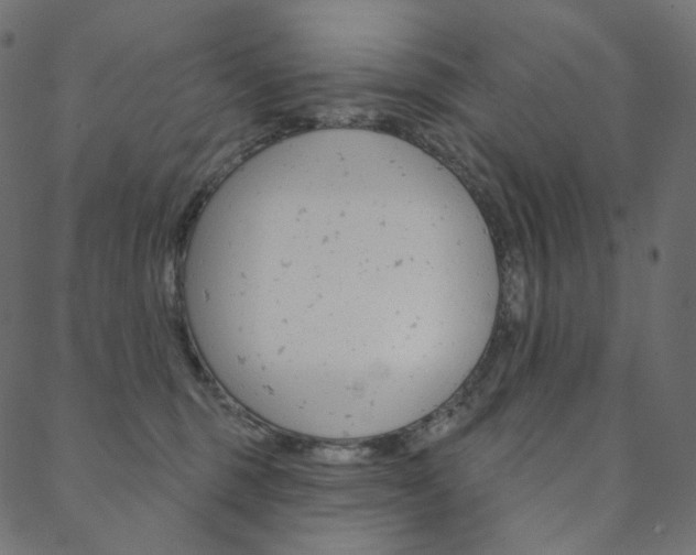 X0000088670375200705311005