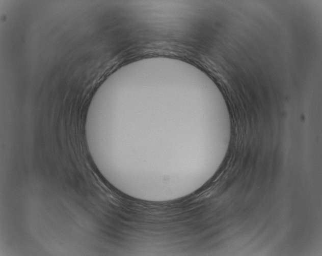 X0000088670382200705311005