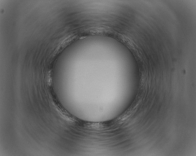 X0000088670383200705311005