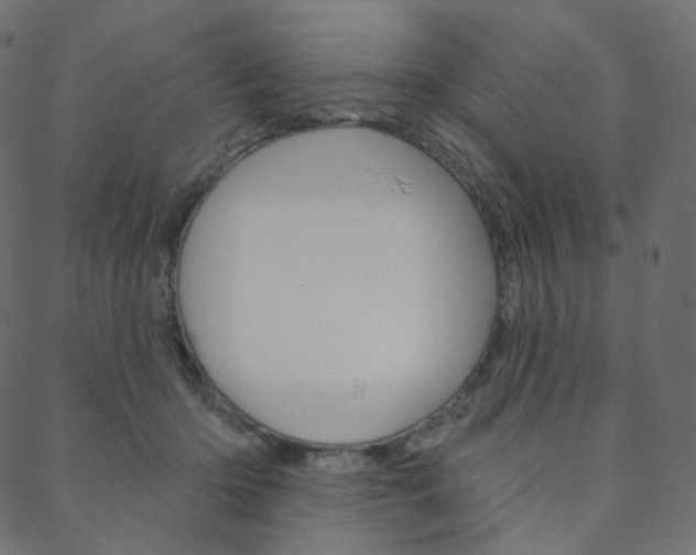 X0000088670414200705311004