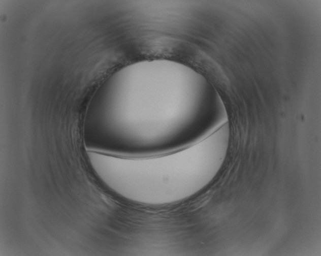 X0000088670416200705311004