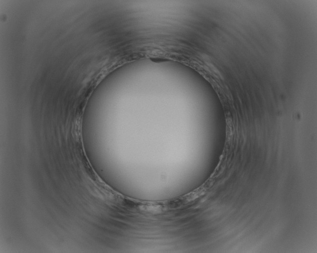 X0000088670419200705311003