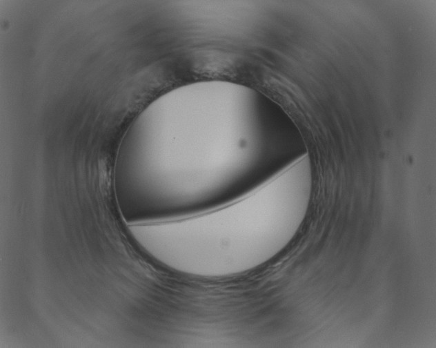 X0000088670420200705311003