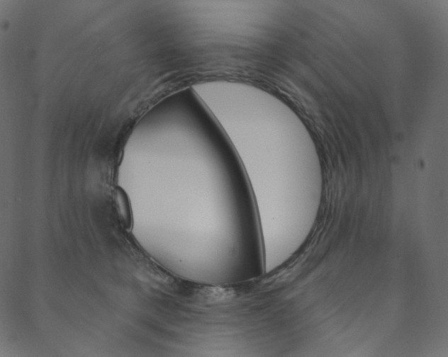 X0000088670421200705311003