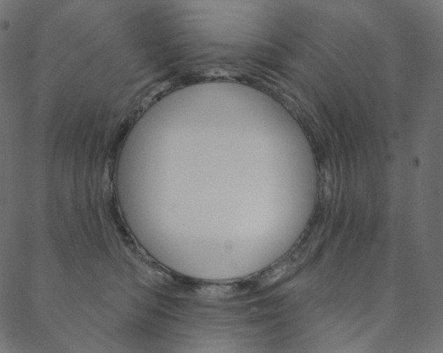 X0000088670422200705311003