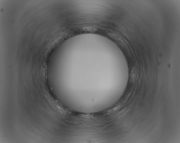 X0000088670424200705311003