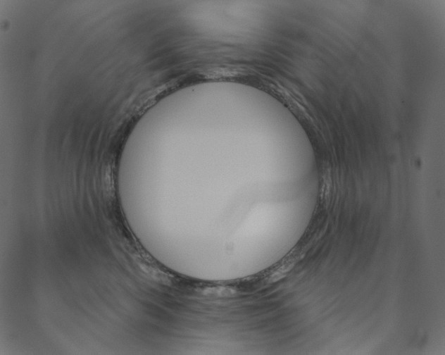 X0000088670426200705311003