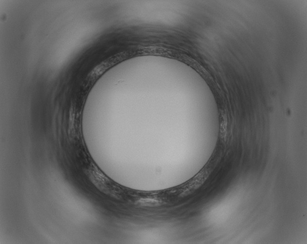 X0000088670430200705311003