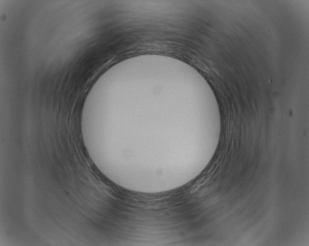 X0000088670431200705311003