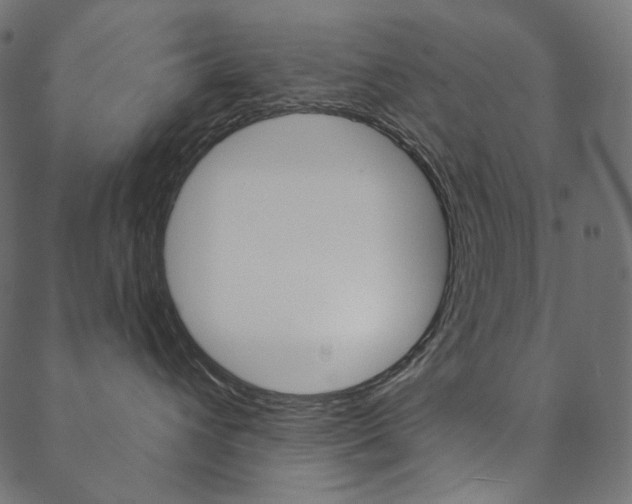 X0000088670432200705311003