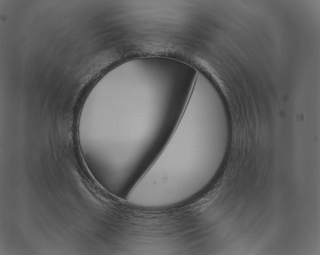 X0000088670443200705311003